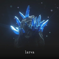 larva